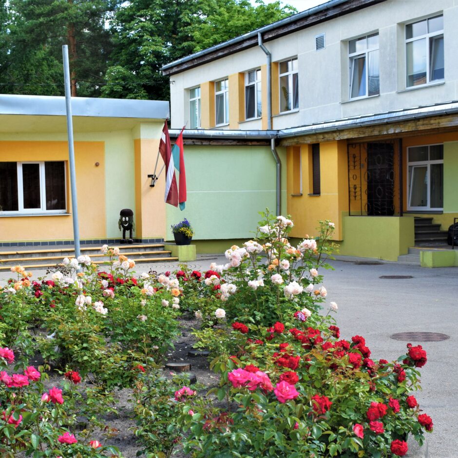 Bērnudārzs. Puķu dobe. Rozes .